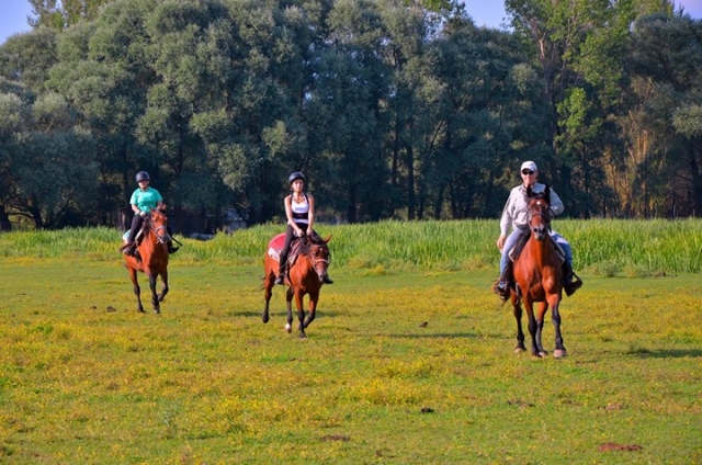 A caballo en la naturaleza 